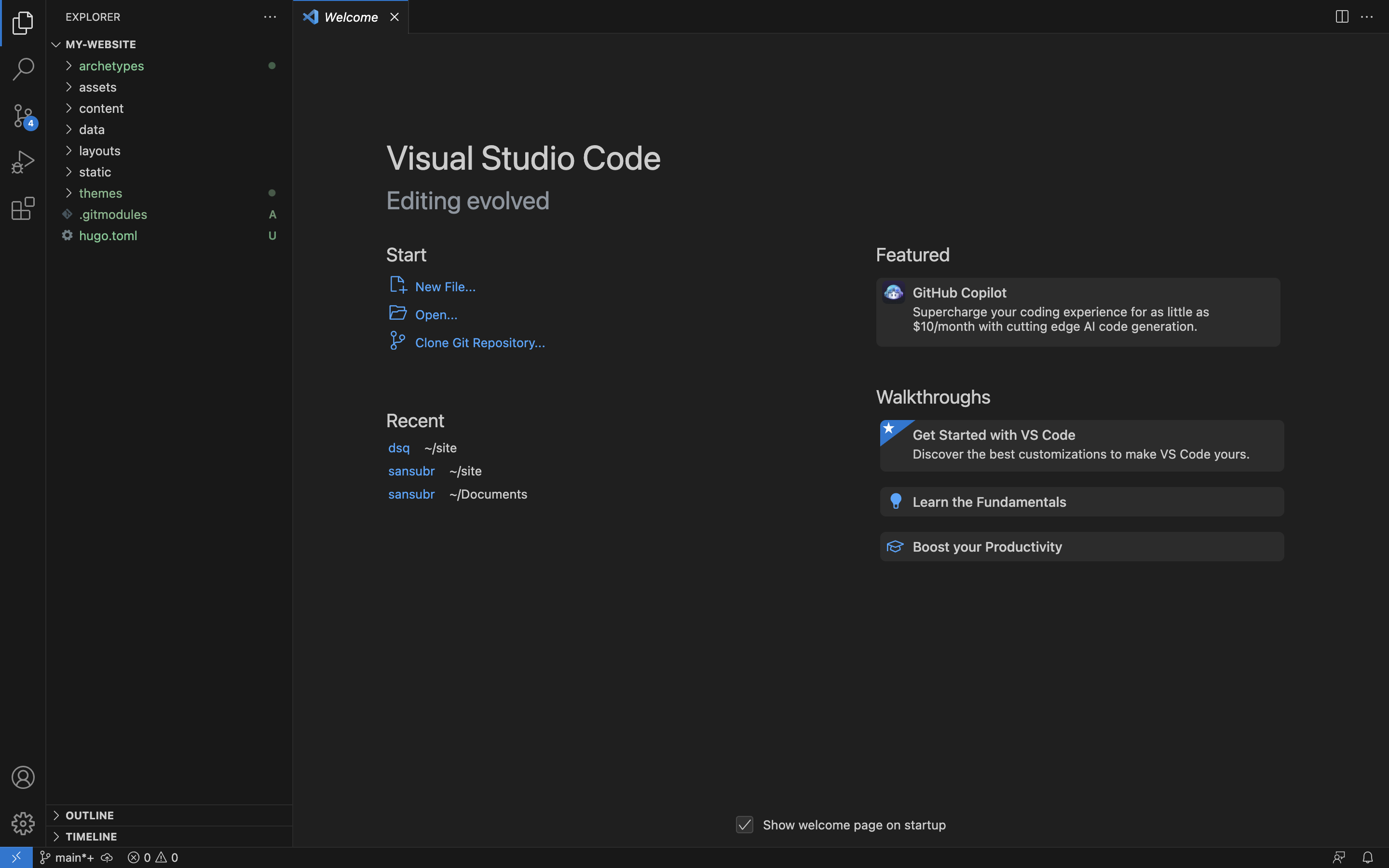 The my-website folder opened in Visual Studio Code.